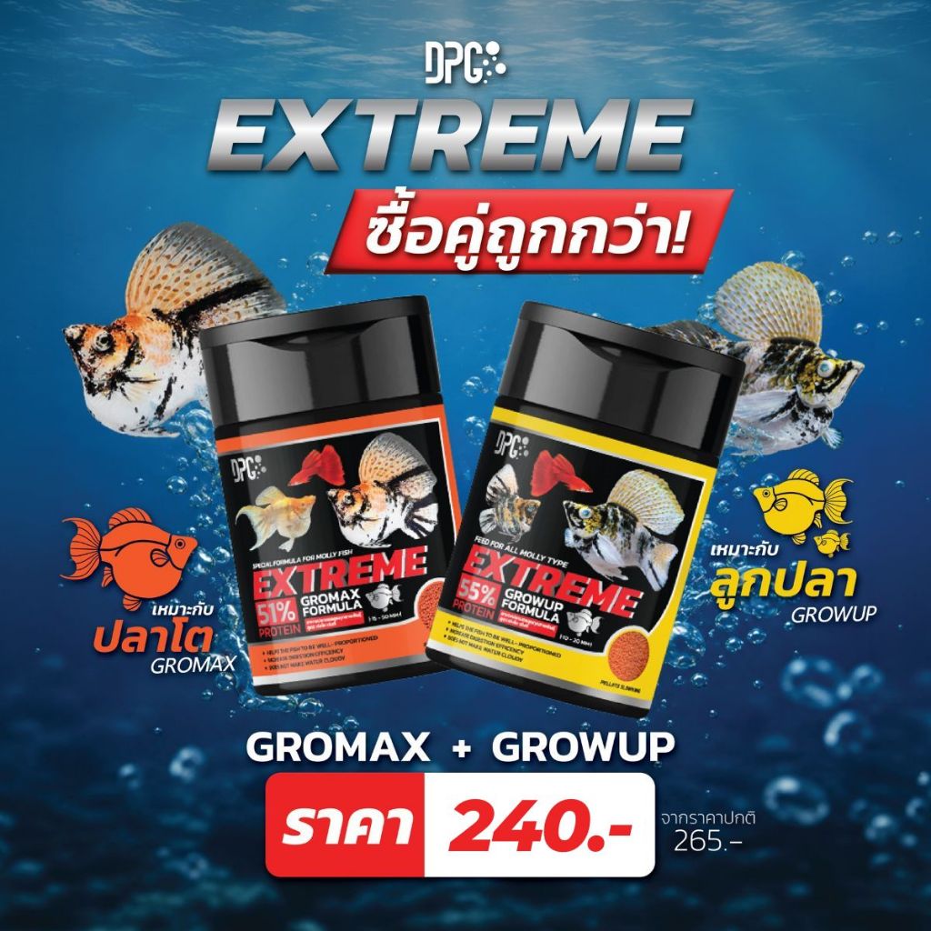 โปร!!! ซื้อคู่ถูกกว่า DPG Extrem อาหารปลาบอลลูน ทุกสายพันธุ์ ปลาโต และลูกปลา