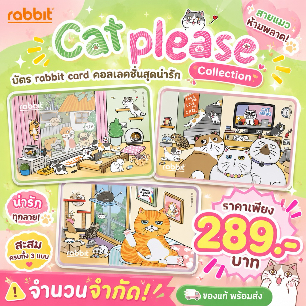 CAT Please บัตรพิเศษสำหรับบุคคลทั่วไป 🔥พร้อมส่ง🔥