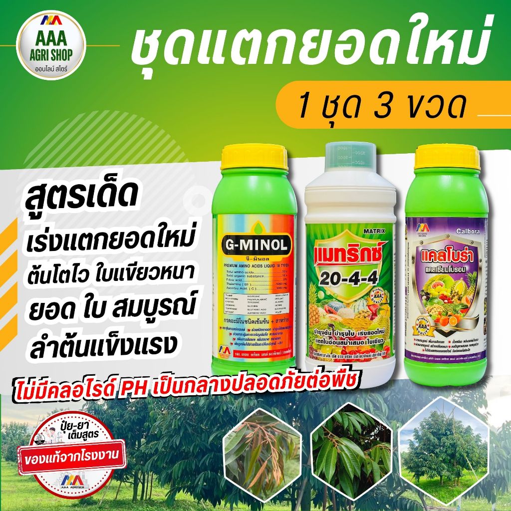 ชุดแตกยอดใหม่ เร่งต้นโต ยืดยอด ทำใบใหม่ ขยายใบ สูตรเร่งยอด ใบใหม่เขียวหนา แตกยอดไว ลำต้นแข็งแรง 1ชุด 3ขวด