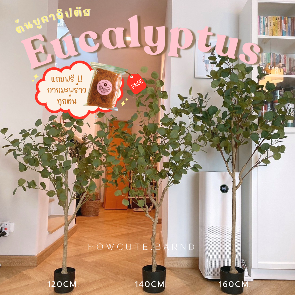[PRE14วันค่ะ]🌱EUCALYPTUS TREE (ยูคาลิปตัส) ต้นประดิษฐ์งานเหมือนจริง ใบกลมน่ารัก แต่งบ้านสวยมาก