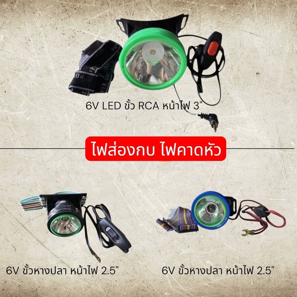 ไฟคาดหัว ไฟส่องกบ ไฟฉาย ใช้กับแบตเตอรี่น้ำหรือแห้ง 6V (ขั้วหางปลา/ขั้ว RCA) มาพร้อมหลอดไฟ