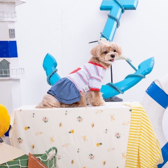Favchild Polo Girl | Polo+Skirt Style Collection