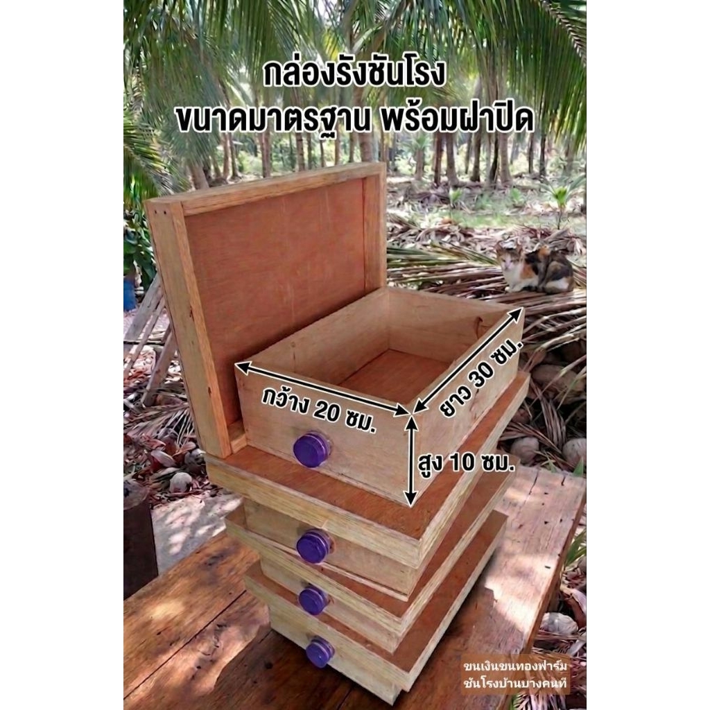 กล่องรังชันโรง *สูง9-10cm.แถมแผ่นใส* ขนาดมาตรฐานA4 20x30x10cm.พร้อมฝาปิด