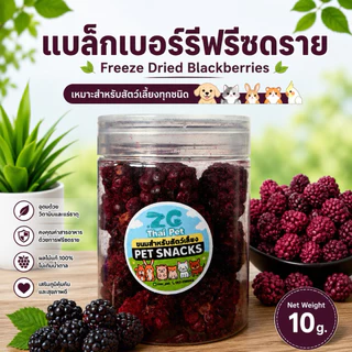 [ZC] แบล็กเบอร์รี่ฟรีซดราย Freeze Dried Blackberry ผลไม้ฟรีซดรายสำหรับสัตว์เลี้ยงฟันแทะทุกชนิด กระปุกขนาด 10 g.
