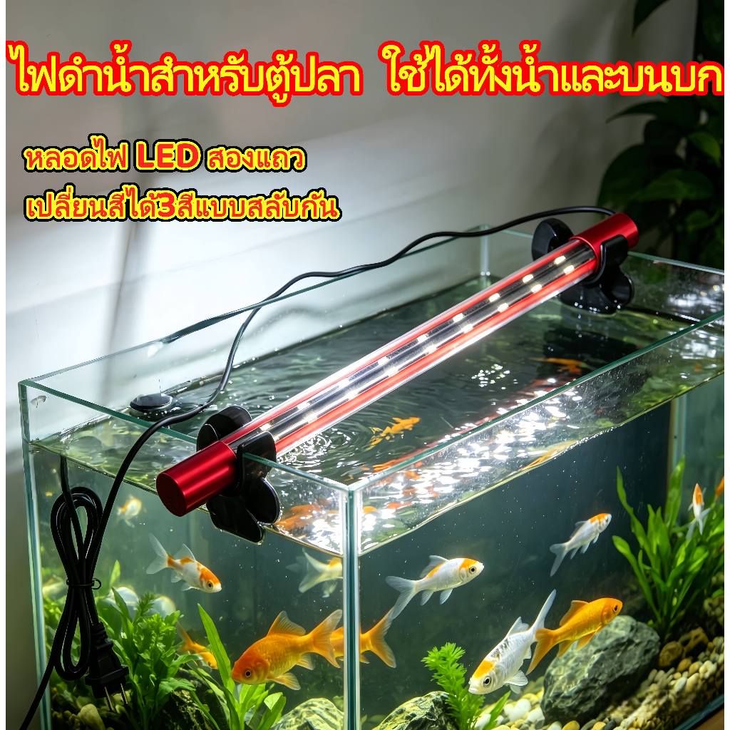 ไฟเทรนนิ่งปลา กันน้ำ 2in1 โชว์ปลาและเทนนิ่ง Color Booster Color Training หลอดไฟ  ไฟส่อง ทะลุ