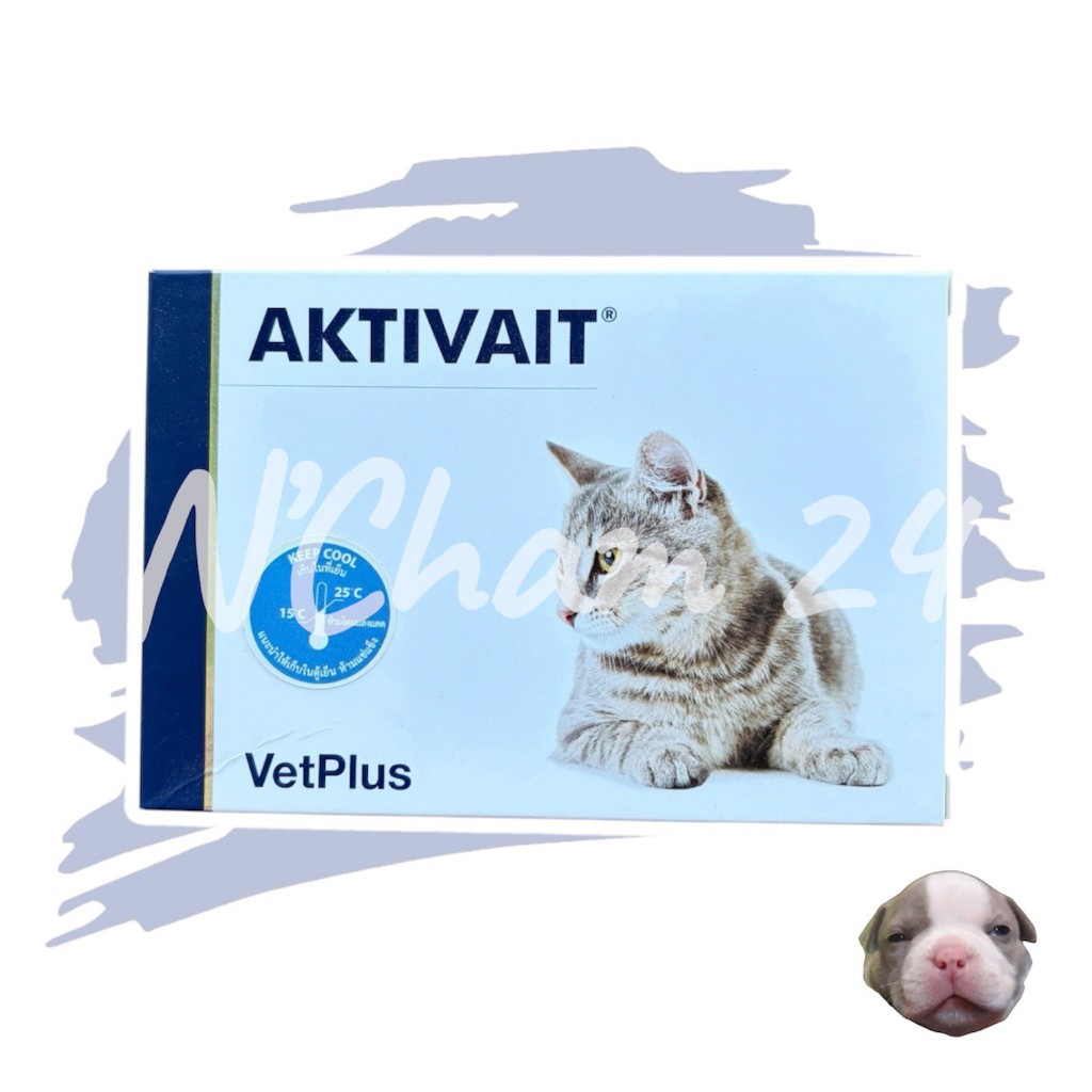 AKTIVAIT Cat อาหารเสริม แมว บำรุงสมองและระบบประสาท อายุ 7 ปี ขึ้นไป บรรจุ 60 แคปซุล