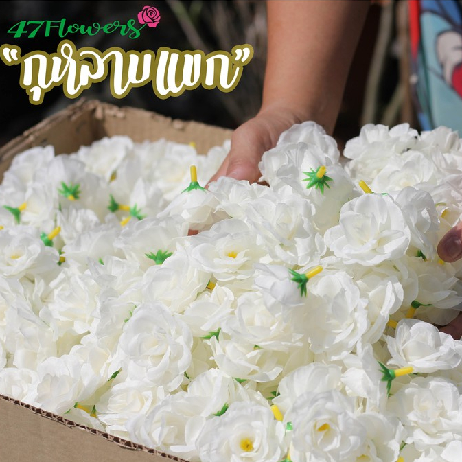 กุหลาบแขก กุหลาบมอญ ขนาด5ซม. ถุงละ500ดอก 1/2
