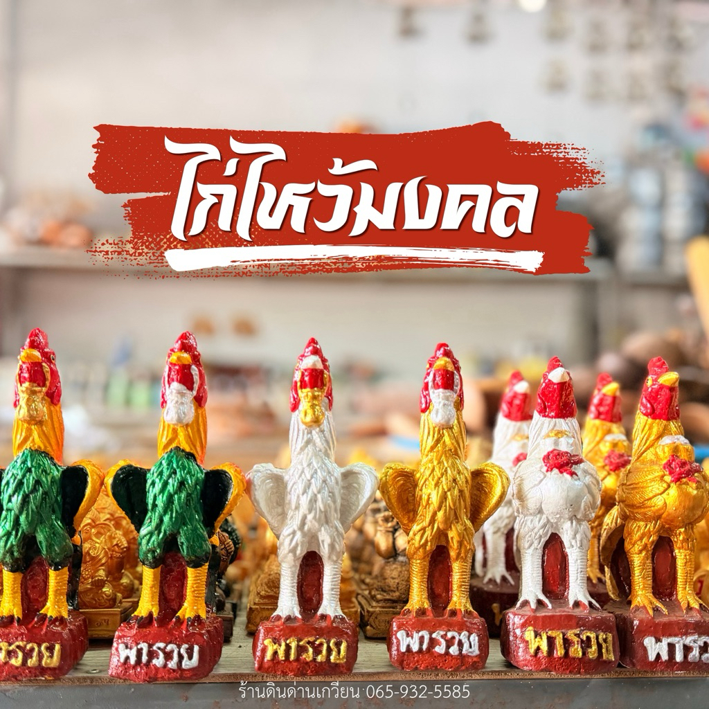 ✅พร้อมส่ง ไก่ชน ไก่แก้บน ไก่ไหว้ศาล ไก่ถวายไอ้ไข่ 🔻ขายเป็นคู่🔻