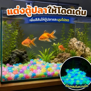 Siam หินเรืองแสง หินกรวดตกแต่งสวน แต่งตู้ปลา กระถางต้นไม้ เรืองแสงในที่มืด สีสวย ใช้งานง่าย พร้อมส่ง COD
