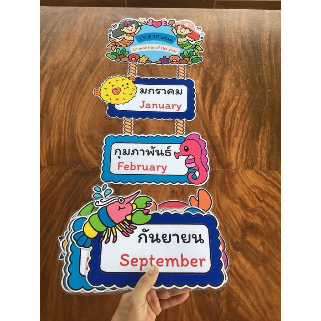 เซต 1 ปี มี 12 เดือน ใต้ท้องทะเล ภาษาไทย+ ภาษาอังกฤษ🐡