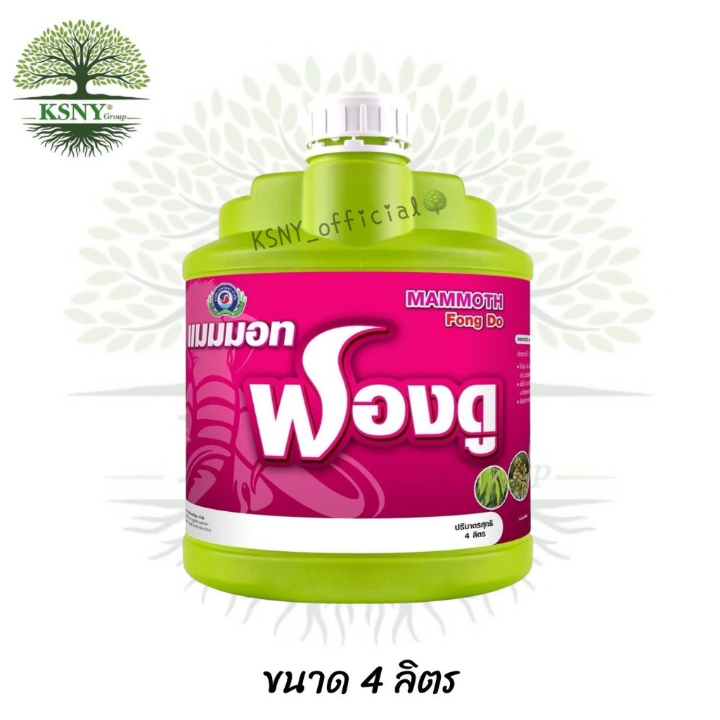 แมมมอท ฟองดู (แกลลอน4ลิตร)(สาหร่ายสีเขียวสกัดเข้มข้น+อะมิโน)ส่งเสริมการแตกตายอดหรือตาใบ เพื่อสร้างใบใหม่หรือการสร้างดอก