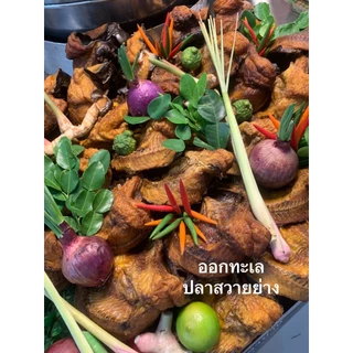 ปลาสวายย่าง รมควัน หอมอร่อย ทำมาใหม่