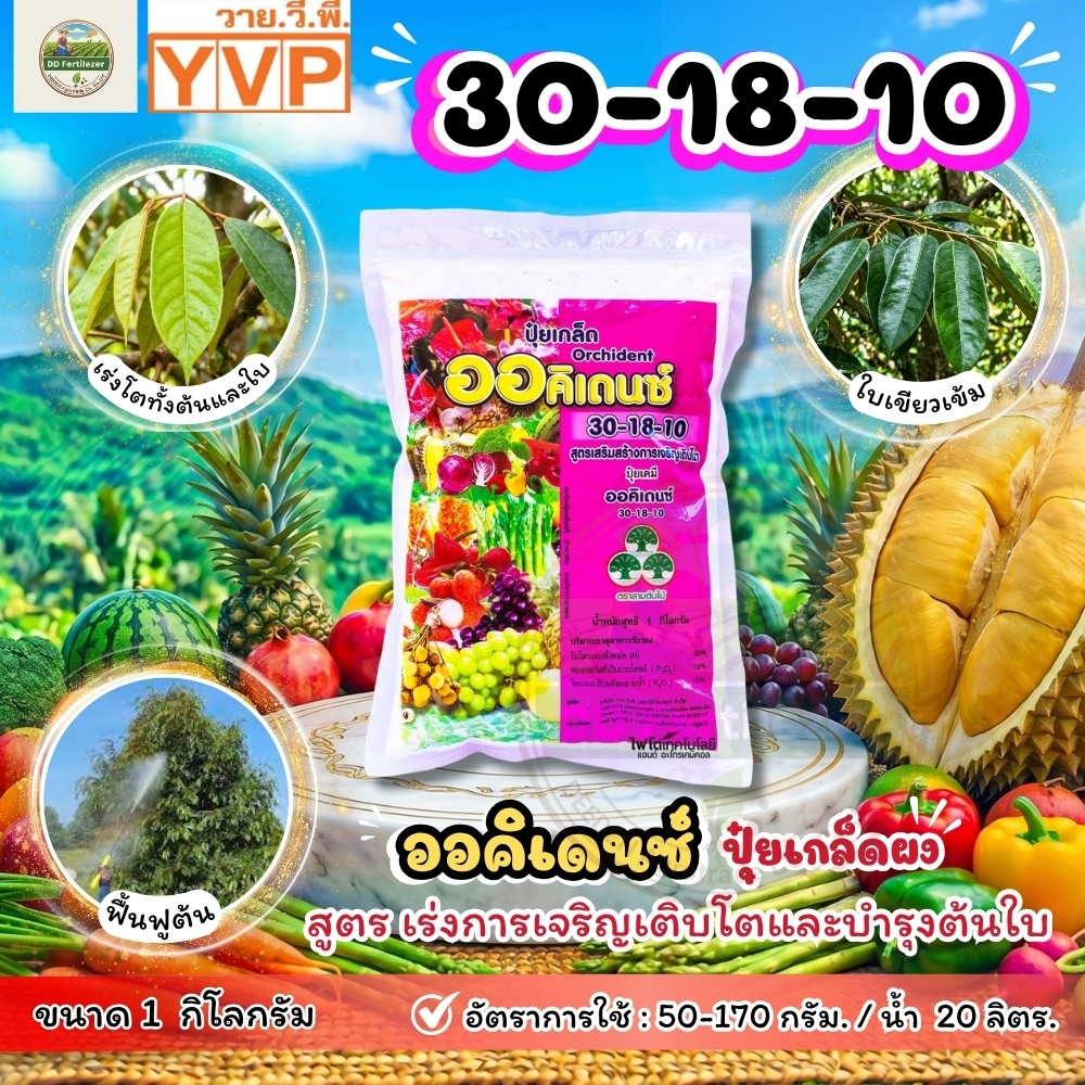 ปุ๋ยเกล็ด 30-18-10 ออคิเดนซ์ สูตรเร่งการเจริญเติบโตทางต้นและทางใบ ฉีดพ่นในระยะเริ่มปลูกใหม่ ช่วยการเเตกยอดใหม่ วายวีพี