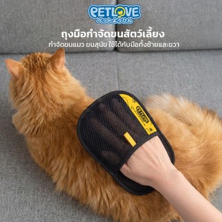 PETLOVE ถุงมือกำจัดขนสัตว์เลี้ยง ป้องกันไฟฟ้าสถิต กำจัดขนแมว ขนสุนัข ล้างทำความสะอาดได้