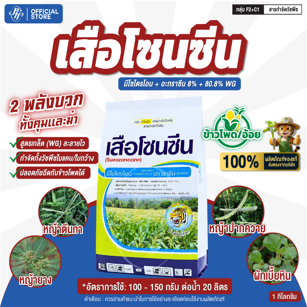 เสือโซนซีน ล็อตใหม่ หัวเสือ มีโซไตรโอน + อะทราซีน ยาลุยในไร่อ้อยไร่ข้าวโพด หญ้าใบแคบใบกว้าง