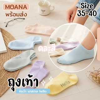 พร้อมส่ง : ถุงเท้าข้อสั้น holo พาสเทล 5 คู่ คู่ใหญ่ น่ารัก ใส่ได้ทุกวัน เนื้อผ้านุ่ม แฟชั่น