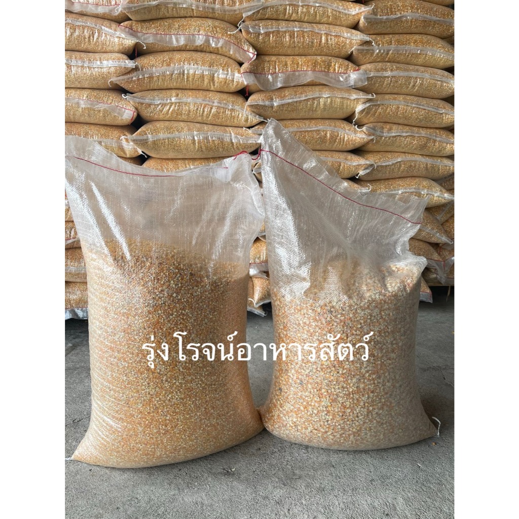 20 กก ข้าวโพดอาหารสัตว์ ข้าวโพดเม็ด ข้าวโพดบด(โม่,เม็ดแตก)