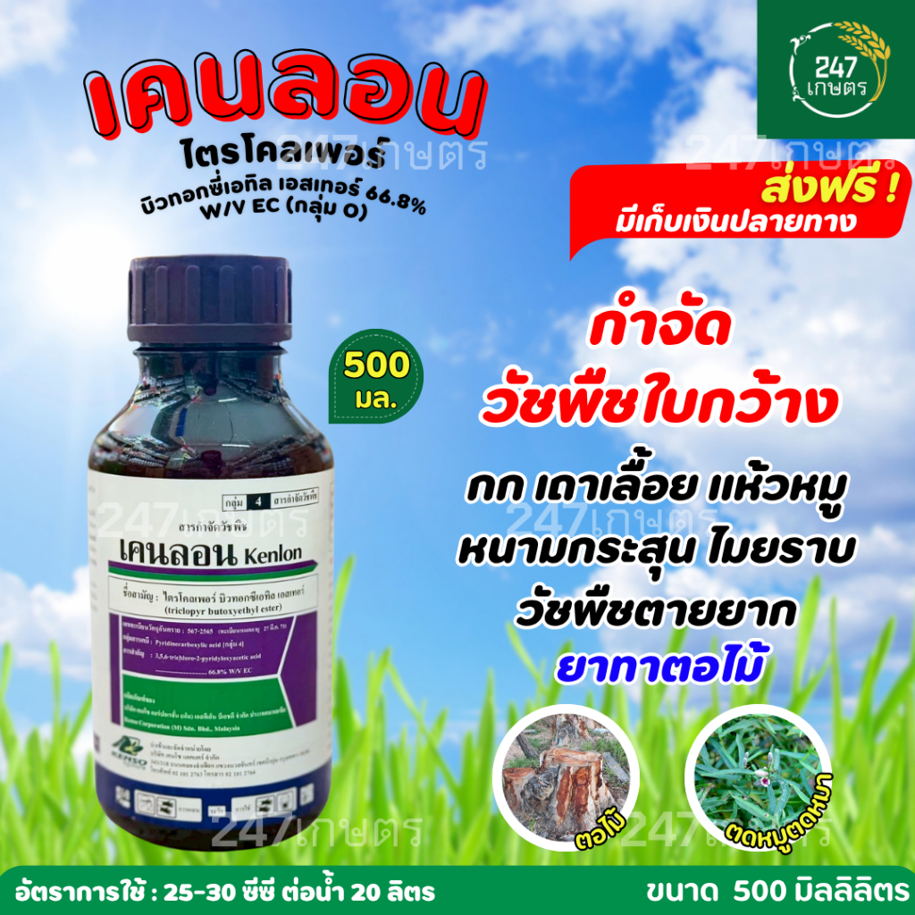 เคนลอน 500 มล.(ไตรโคลเพอร์) ยาฆ่าตอไม้ กำจัดหญ้าใบกว้าง เถาเลี้อย ไมยราบ