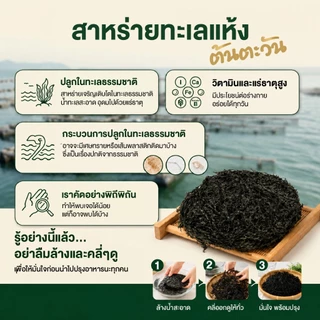 สาหร่ายแห้ง สาหร่ายทะเลแห้ง คัดพิเศษ เกรด AAA แผ่นกลม 250 กรัม ตรา ต้นตะวัน
