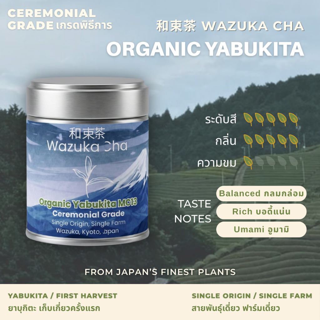 Matcha Yabukita [Ceremonial Grade] ผงมัทฉะญี่ปุ่น เกรดพิธีการ 30 / 100g