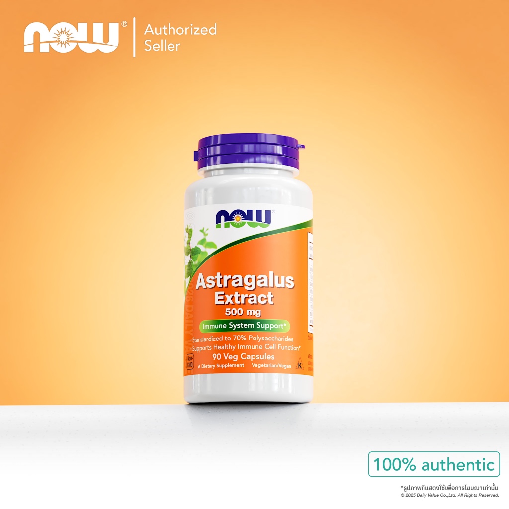 สารสกัดแอสทรากาลัส | Astragalus Extract 500 MG [Capsules] by NOW FOODS | Authentic Made in USA