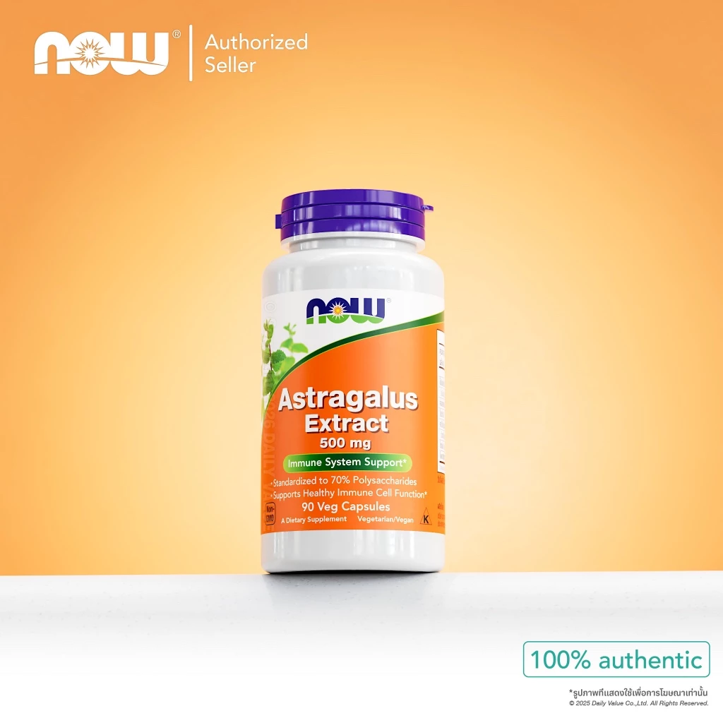 สารสกัดแอสทรากาลัส | Astragalus Extract 500 MG [Capsules] by NOW FOODS | Authentic Made in USA