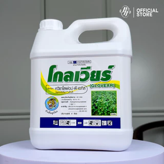 โกลเวียร์ ควิซาโลฟอป-พี-เอทิล 4 ลิตร ลุยไร่มัน พ่นทับยอดได้ เก่งหญ้าใบแคบ ปลอดภัยต่อพืชใบกว้าง