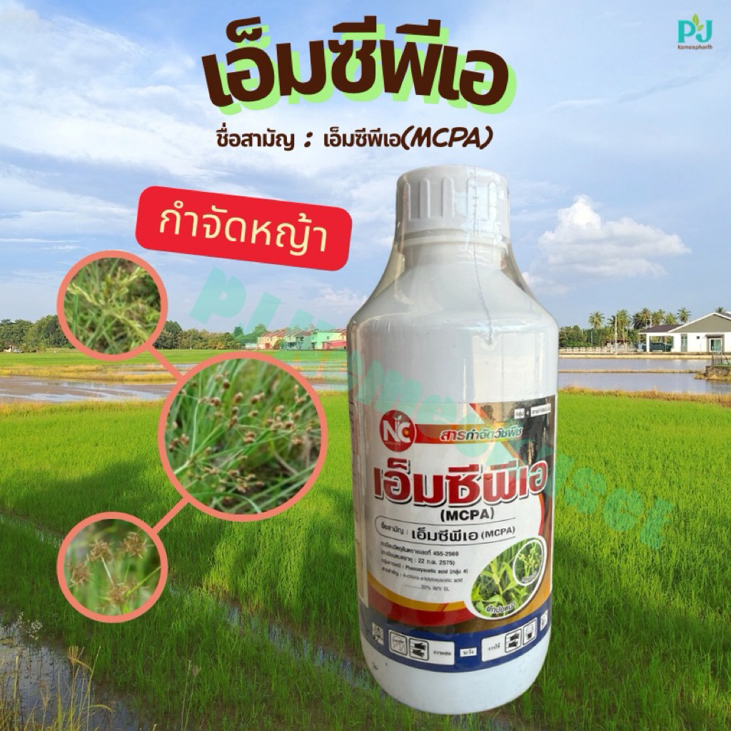 เอ็มซีพีเอ ขนาด 1L บริษัทเอ็นซีอะโกรเคม กำจัดหญ้าใบกว้าง กกต่างๆ