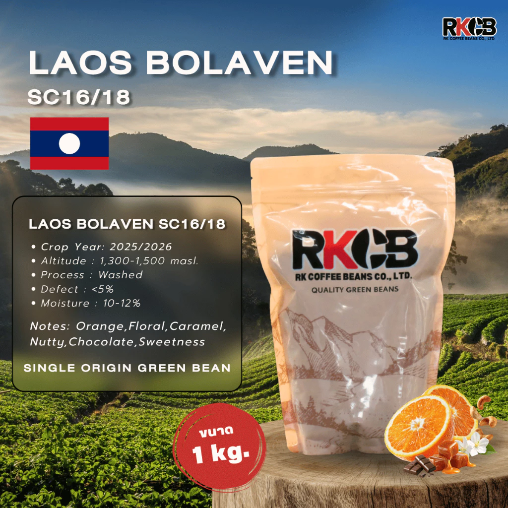 สารกาแฟอราบิก้าลาว โบลาเวน Laos Bolaven - SC16/18 บรรจุ 500g - 1Kg. RK.Coffeebean. [พร้อมส่ง]