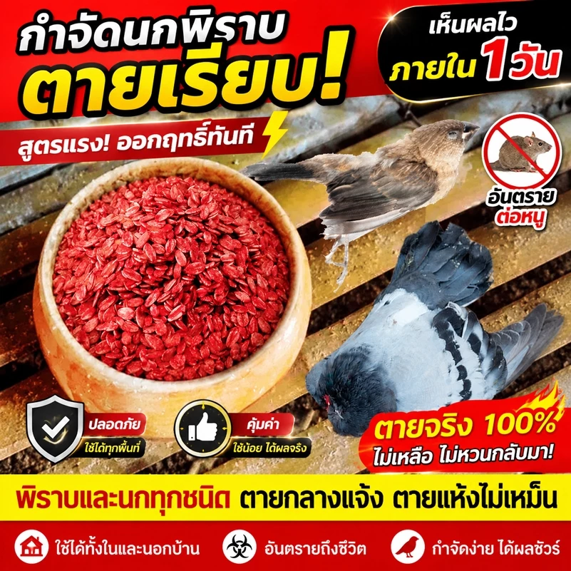 🐭ยาฆ่าหนูตายแห้งไม่มีกลิ่น100%ได้ผล ยาฆ่าหนู หนูชอบมาก ใช้ได้ในบ้านและรอบบ้าน อวัยวะภายในเสียหาย แห้งเร็วและ ไม่มีกลิ่น
