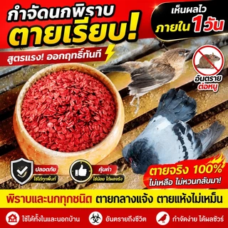 🐭ยาฆ่าหนูตายแห้งไม่มีกลิ่น100%ได้ผล ยาฆ่าหนู หนูชอบมาก ใช้ได้ในบ้านและรอบบ้าน อวัยวะภายในเสียหาย แห้งเร็วและ ไม่มีกลิ่น