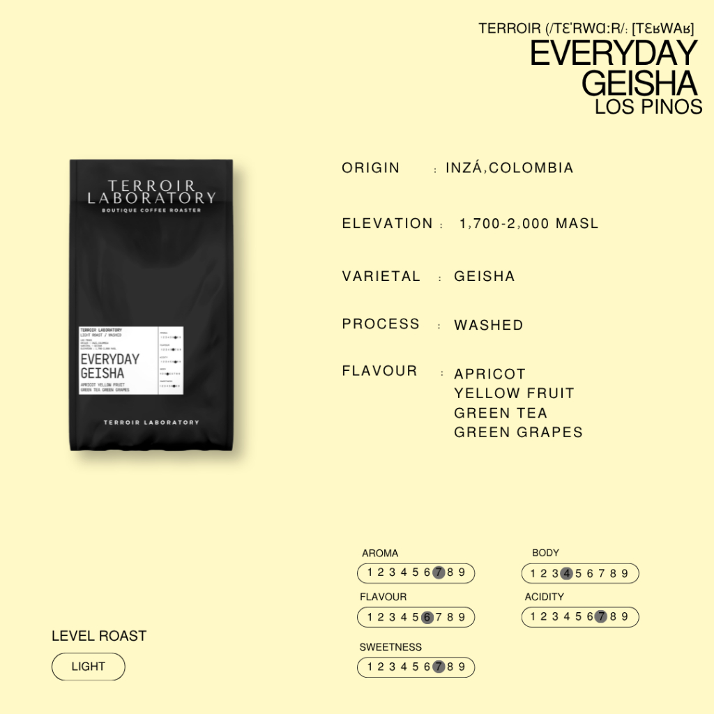 Everyday Geisha | Light Roast | เมล็ดกาแฟ