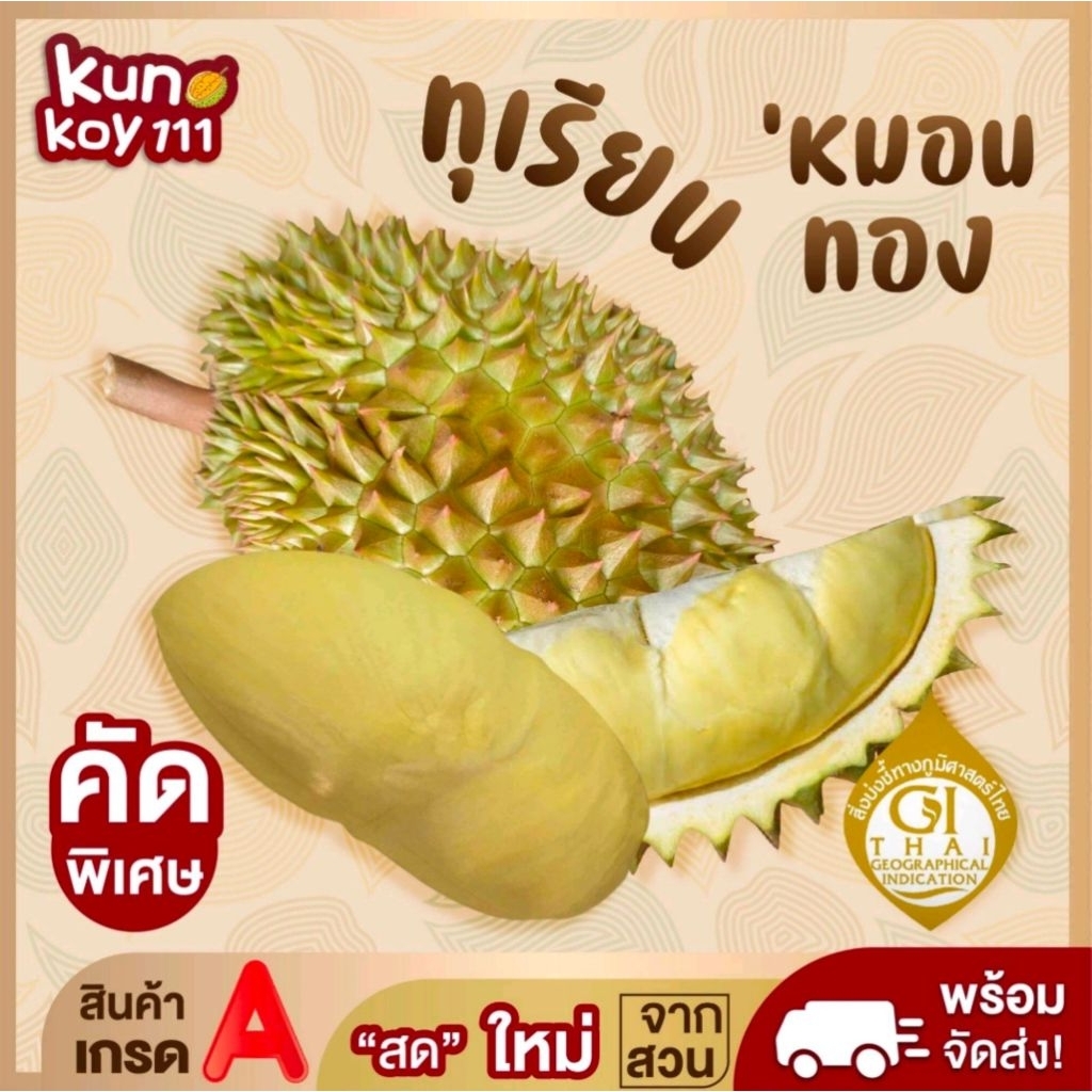 🌟(พร้อมส่ง)💥ทุเรียนหมอนทอง💥(หมอนจิ๋ว) 👉 เน้นเนื้อไม่เน้นทรง💥 ขายเป็นลูก🍈น้ำหนัก8ขีด-1กิโลกรัม 📣 💥 รับประกันเนื้อทุกลูก✓✓