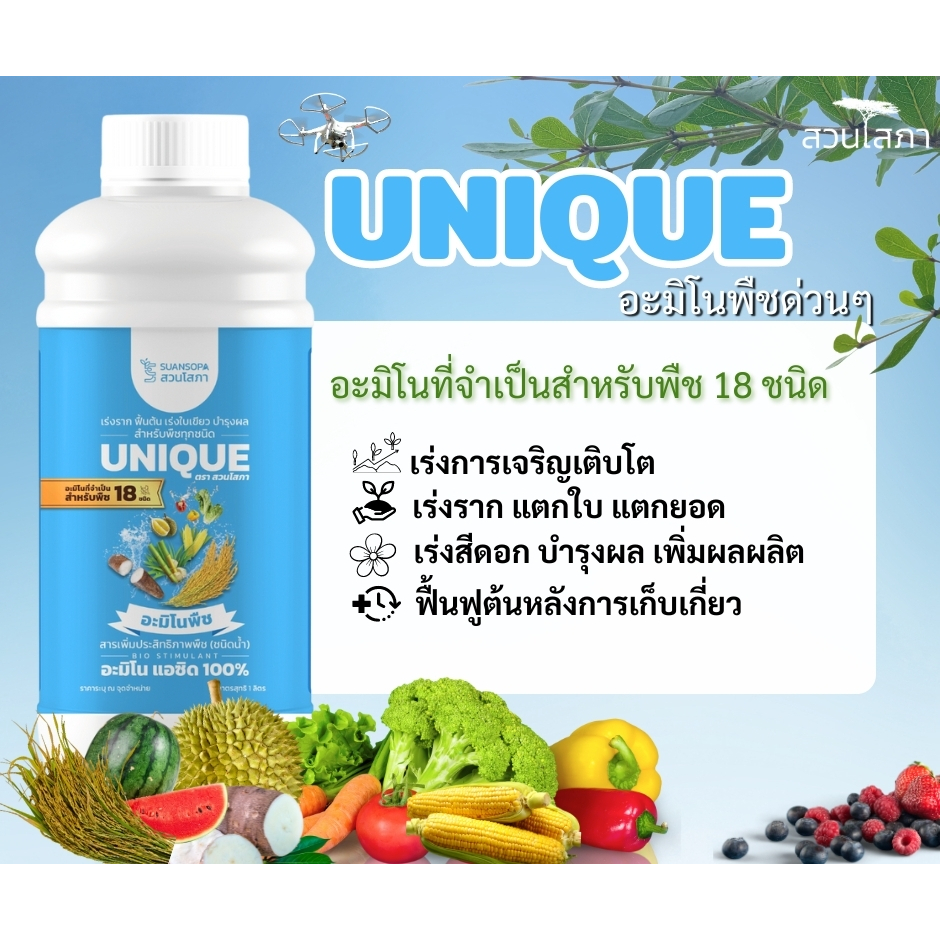 ยูนีค อะมิโน นาโนคีเลต 1 ลิตร มีอะมิโนรวม 18 ชนิดที่มีประโยชน์มากที่สุดสำหรับพืช