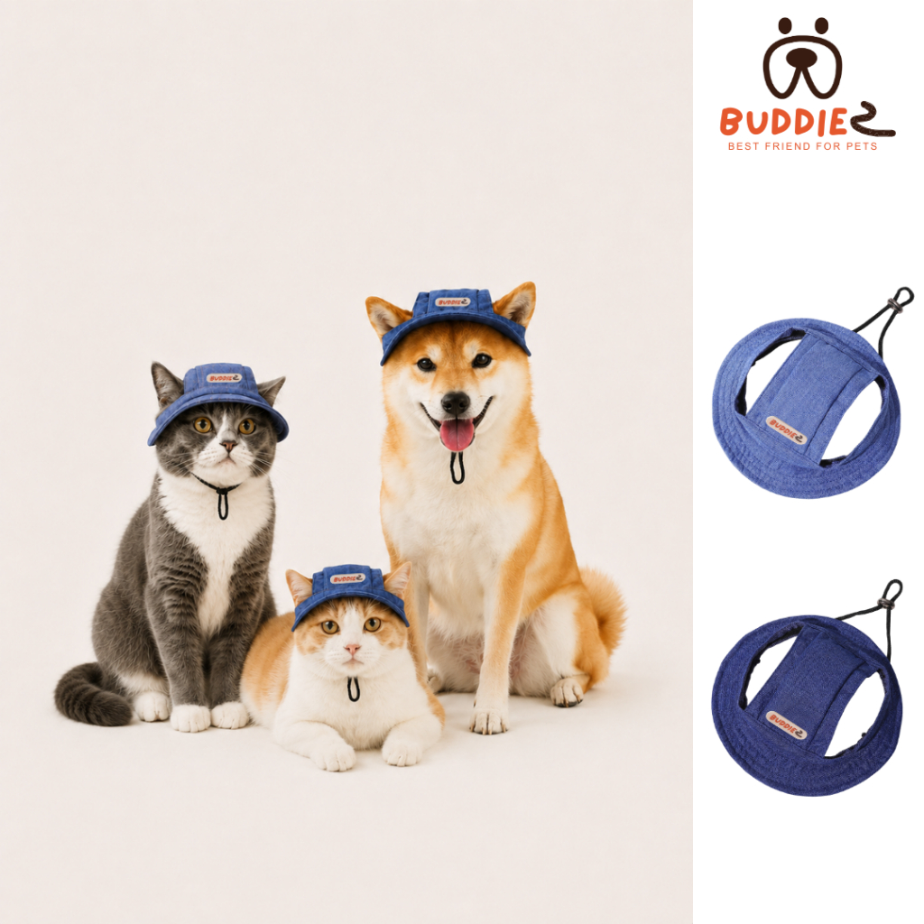 Buddiez หมวก สำหรับน้องหมาและน้องแมว ใส่ได้ทั้งเดินเล่น ถ่ายรูป เพิ่มความน่ารักให้น้องๆ