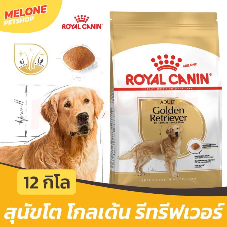 [กระสอบ 12 กิโล] Royal Canin Golden Retriever Adult รอยัลคานิน อาหารสุนัข สุนัขโต พันธุ์ โกลเด้น 15 เดือนขึ้นไป 12kg