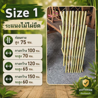 รั้วระแนงไม้ไผ่ยืด ปรับขนาดได้ตามต้องการ มีให้เลือกหลายขนาด ดูรายละเอียดขนาดก่อนสั่งซื้อ