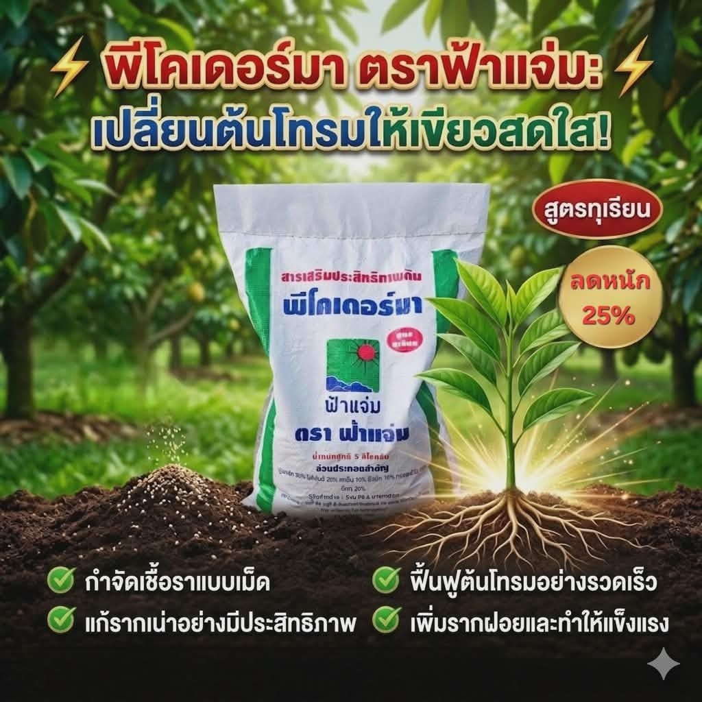 พีโคเดอร์มา ไตรโคเดอร์มาอัดเม็ด ตราฟ้าแจ่ม (ถุงละ 5 กิโลกรัม จำนวน 1 ถุง) ใช้ป้องกัน รักษาเชื้อราโรคพืชทางดิน