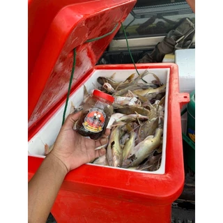 เหยื่อตกปลากดตาหนวด ม้ามหมัก สูตรพิเศษ ปลากดคัง ปลากดเหลือง เทโพ ปลาหนังทุกชนิดกลิ่นเรียกปลาสุดๆ