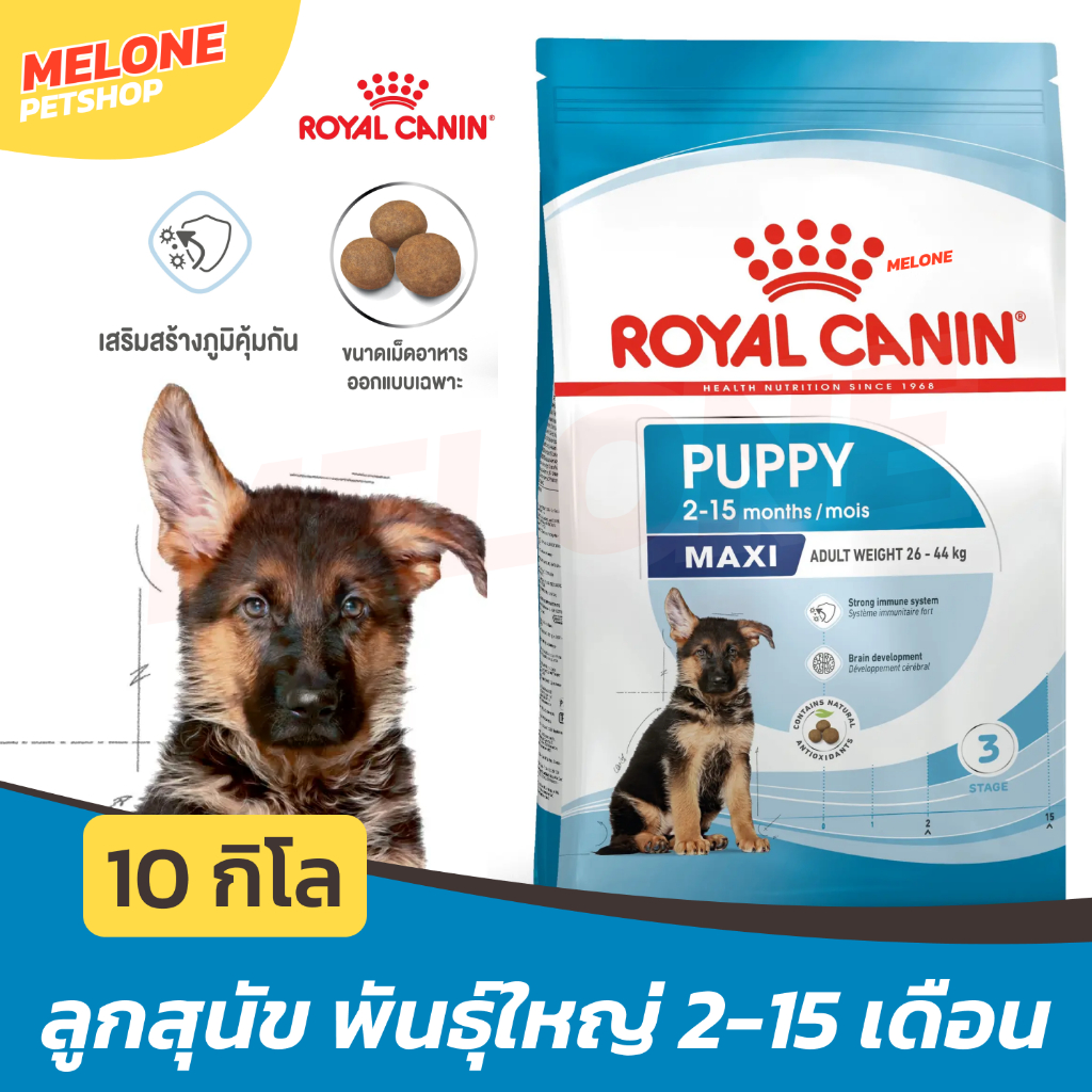 [กระสอบ 10 กิโล] Royal Canin Maxi Puppy อาหารสุนัข โรยัล คานิน ลูกสุนัข ลูกหมา พันธุ์ ใหญ่ บำรุงขน เสริมภูมิ ขับถ่ายดี