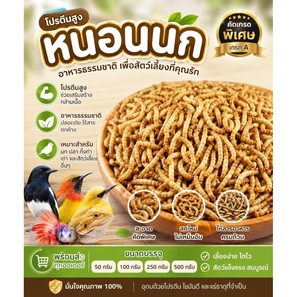 [สด-ส่งเร็ว] หนอนนกสด หนอนนกไม่อบแห้ง อาหารสัตว์เลี้ยง นก ปลา กิ้งก่า เม่นแคระ