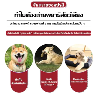 🐶🐱สเปรย์กำจัดเห็บหมัด 520ml ยากำจัดเห็บหมัด สำหรับสุนัขและแมว กำจัดเห็บหมัด ลดอาการคัน ดูแลผิวหนัง ปลอดภัย