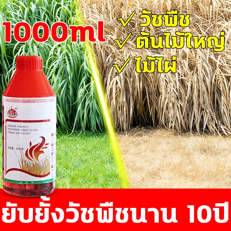 ยาฆ่าต้นไม้ใหญ เข้มข้นสุดๆ1000ml ยาฆ่าตอต้นไม้ ตรงไปที่ราก ยากำจัดต้นไม้ รากเน่าจริง1000% บอกลาการงอกใหม่ซ