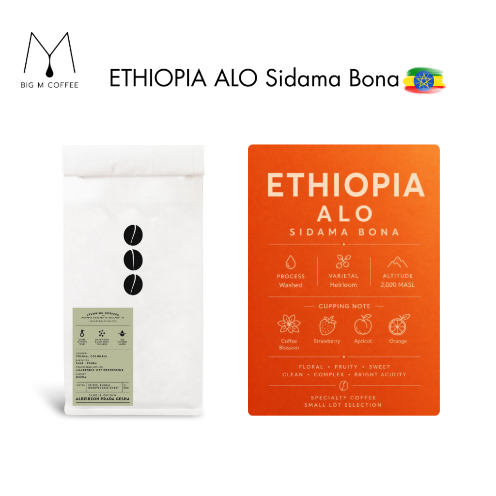 Big m เมล็ดกาแฟ ETHIOPIA ALO Sidama Bona Washed