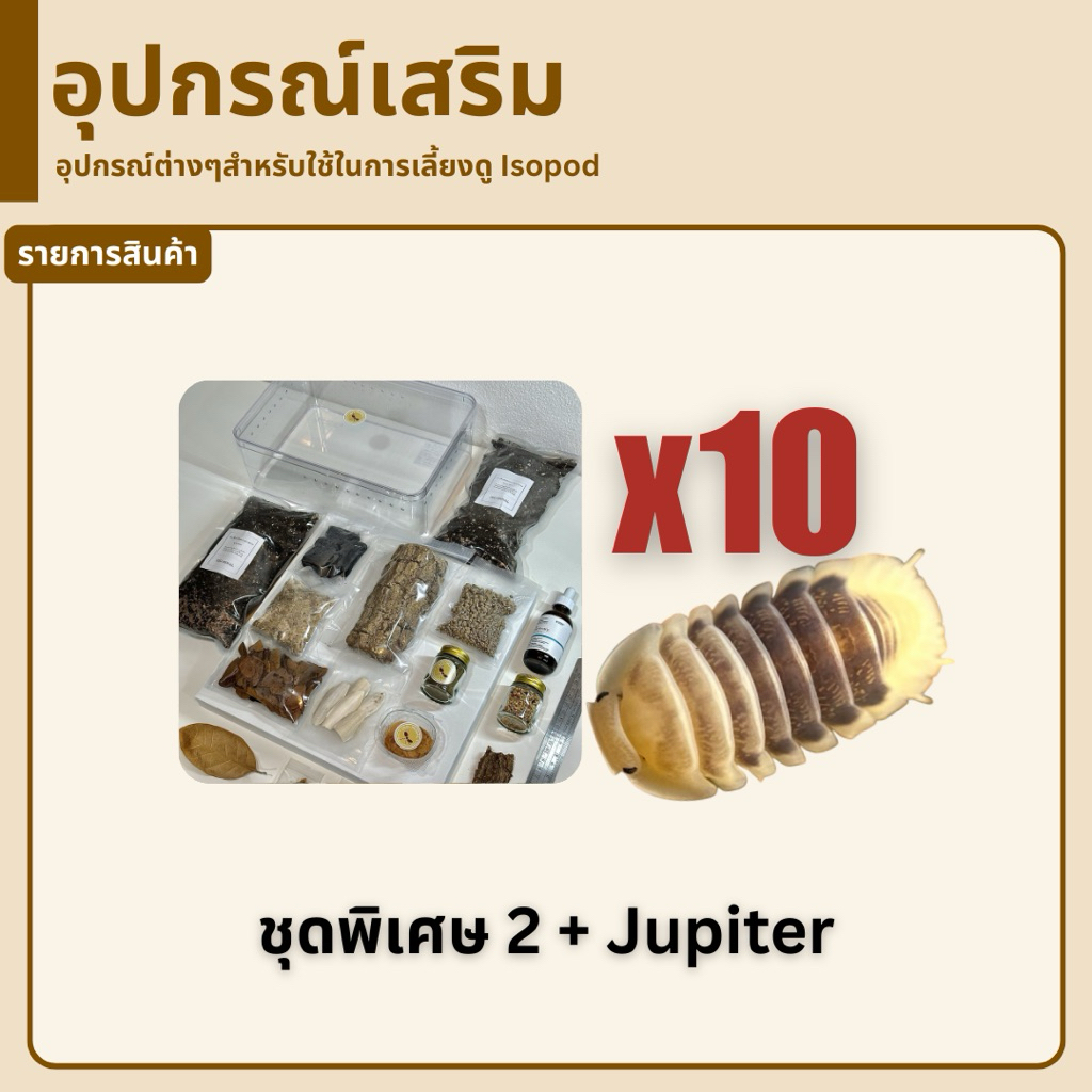 ชุดพิเศษ 2 + กาชาปอง Red Pak Chong 10 ชิ้น