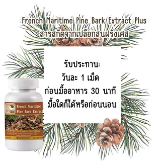 French Maritime Pine Bark Extract Plus สารสกัดจากเปลือกสนฝรั่งเศส ตรา บลูเบิร์ด 600 มก. 60 เม็ด