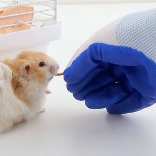 ถุงมือกันกัดสำหรับสัตว์เลี้ยง กระรอก ชูก้า ชินชิล่า หนู แฮมเตอร์ เม่น นกแก้ว ถุงมือจับนก ถุงมือยางกันกัด