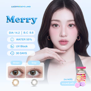 คอนแทคเลนส์ Merry Gray / Brown (Kitty Kawaii) ขนาดมินิ 🌷
