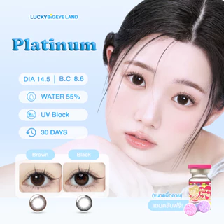 คอนแทคเลนส์ Platinum Brown / Black (Kitty Kawaii) ขนาดบิ๊กอาย 🌷 คอนแทคสีดำ ลายดัง ตต