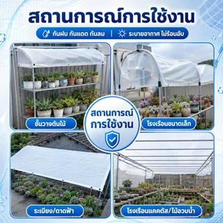 ผ้าใบตาข่ายใส PVC เสริมแรง กันฝน กันลม ทนฉีกขาด หนาพิเศษ มีตาไก่รอบผืน เหมาะสำหรับโรงเรือน ร้านค้า และระเบียง